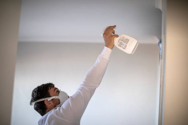 Best Mold Removal Near Me  in High Ridge, MO