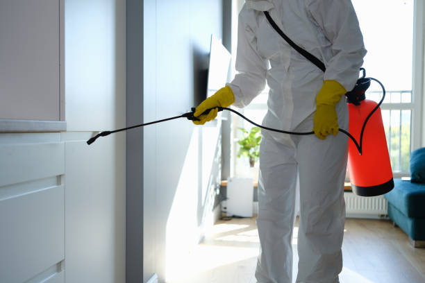 Best Residential Mold Removal  in High Ridge, MO