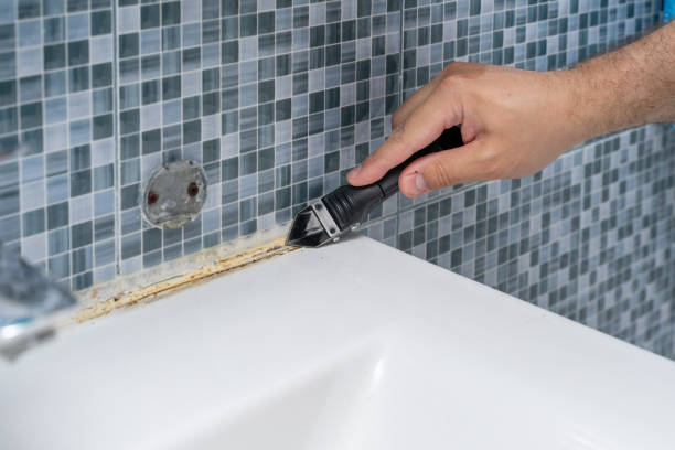 Best Home Mold Removal  in High Ridge, MO